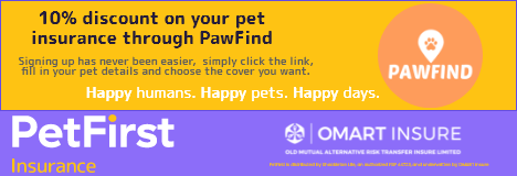 Onix Digital TemplateMo