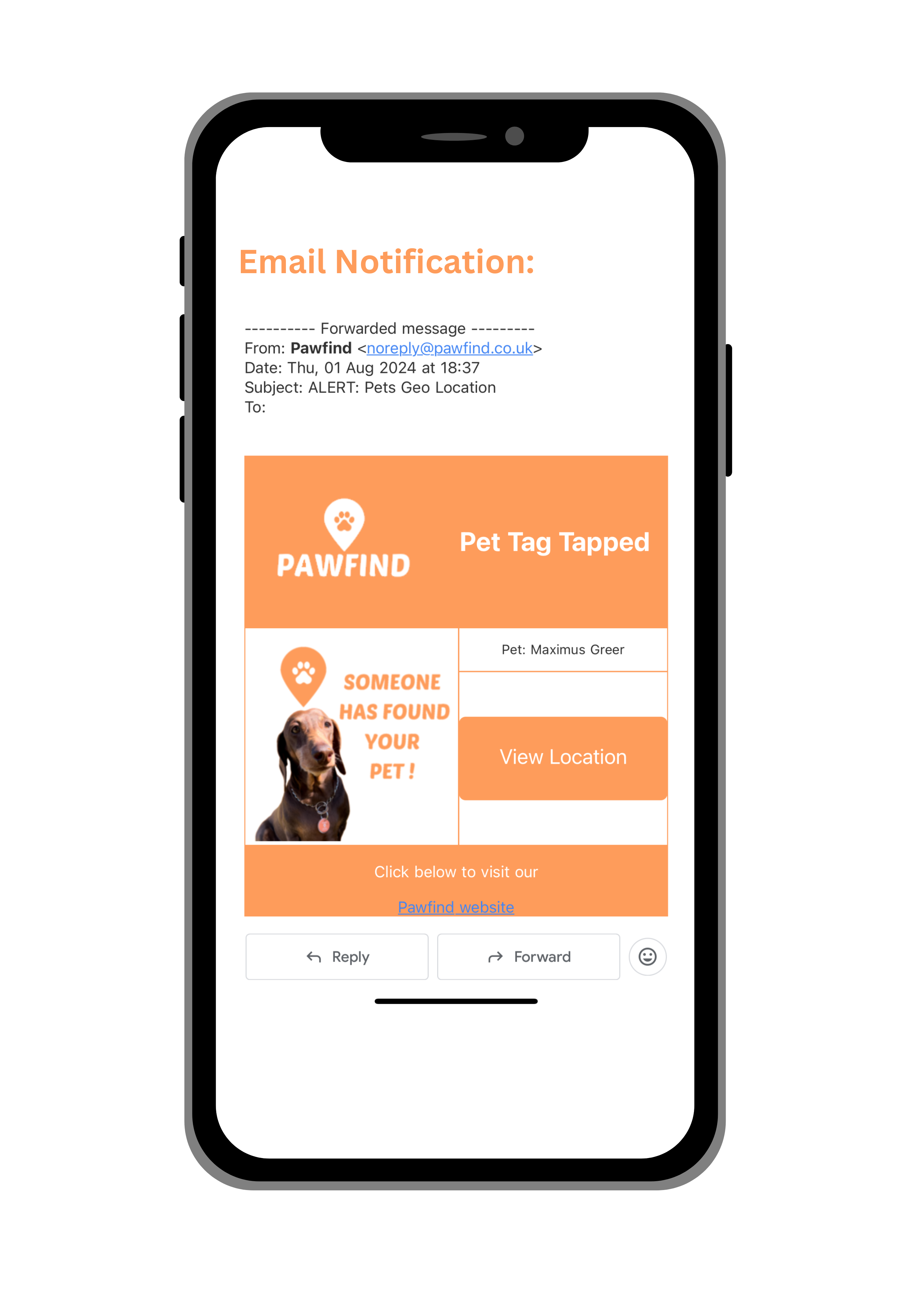 Pawfind Smart Pet Tag - Product Image 3